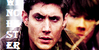 Supernatural-Lovers's avatar