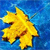 DeviantArt profile picture for @supreme on DeviantArt