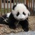 suzubell-chan :iconsuzubell-chan: