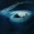 DeviantArt profile picture for @Svenska on DeviantArt