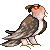swampybunyip :iconswampybunyip:
