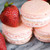 Sweet-N-Freak :iconsweet-n-freak:
