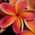 sweetheart18 :iconsweetheart18: