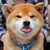 SwetyPuppy :iconswetypuppy: