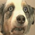DeviantArt profile picture for @sydney on DeviantArt