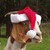 sylgrace :iconsylgrace: