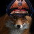 SyliaStingray :iconsyliastingray: