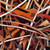 DeviantArt profile picture for @symbol on DeviantArt
