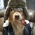Synthetic-Invader :iconsynthetic-invader: