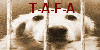 T-A-F-A's avatar
