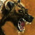 TairenSoul :icontairensoul: