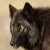 Talaanita :icontalaanita: