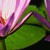 Tallstar27 :icontallstar27: