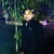 tanuj999000 :icontanuj999000: