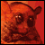 DeviantArt profile picture for @tarsier on DeviantArt
