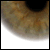 tasc :icontasc: