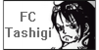 :icontashigi-fc: