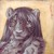 Taurofelis :icontaurofelis: