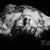 Tazmodious :icontazmodious: