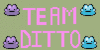 Team-Ditto's avatar