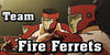 Team-Fire-Ferrets's avatar