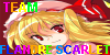 Team-Flandre-Scarlet's avatar