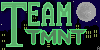 team-TMNT's avatar