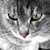 TeamBrandinoXP :iconteambrandinoxp: