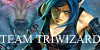 TeamTriwizard's avatar