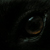 Teelget :iconteelget: