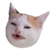 teguloga :iconteguloga: