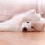 TehSmolChild :icontehsmolchild: