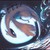 DeviantArt profile picture for @telepathically on DeviantArt