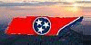 Tennessee-Wonders's avatar