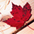 DeviantArt profile picture for @tenth on DeviantArt