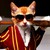 TermitBOSS :icontermitboss: