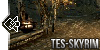 TES-Skyrim's avatar