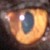 Tezcatlipoca29 :icontezcatlipoca29: