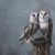 Tfranck97 :icontfranck97: