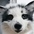 :iconthat-marble-fox: