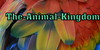 The-Animal-Kingdom's avatar