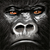 the-araon :iconthe-araon: