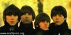 The-Beatles-luvas's avatar