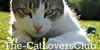 :iconthe-catloversclub: