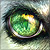 The-Froppening :iconthe-froppening: