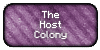 The-Host-Colony's avatar