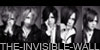 THE-INVISIBLE-WALL's avatar