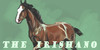 The-Irishano-Horse's avatar