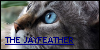 :iconthe-jayfeather: