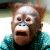 the-mighty-twix :iconthe-mighty-twix: